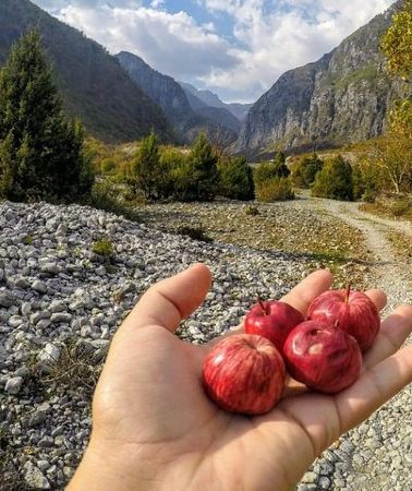 2D1N • Semi – Private Hiking Tour of Theth & Blue Eye in 2 Days