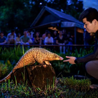 吉隆坡+关丹+新加坡+珍拉丁湾+黑风洞+吉隆坡国油双峰塔+鱼尾狮公园+新加坡滨海湾花园+夜间野生动物园8日7晚拼小团