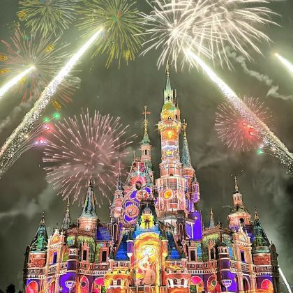 上海迪士尼（Disney）2日1晚私家团