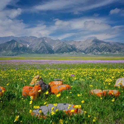 新疆乌鲁木齐+赛里木湖+那拉提旅游风景区8日7晚拼小团