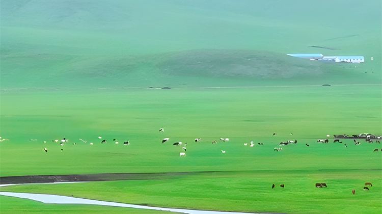 6-Day Hulunbuir + Ergun + Manzhouli