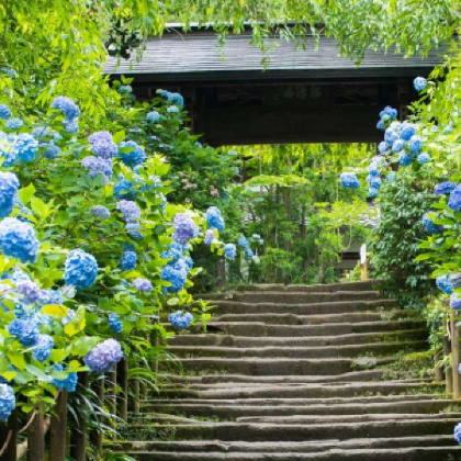 日本东京+箱根6日5晚私家团