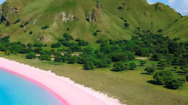 印度尼西亞巴厘島+泗水+布羅莫火山+伊真火山+科莫多10日8晚·春節/寒假花少同款2+9人純玩小團+邂逅雙火山+穿越布羅莫沙海+探祕藍湖+粉色沙灘+尋科莫多龍+羅威納追海豚+文藝烏布+佩尼達出海浮潛+小衆祕境