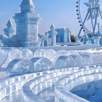 沈阳+哈尔滨4日3晚拼小团