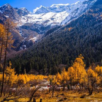 成都+四姑娘山景区+毕棚沟+黄龙风景名胜区+九寨沟6日5晚自由行