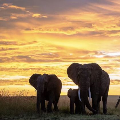 肯尼亚10日9晚私家团