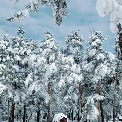 长白山景区3日2晚拼小团