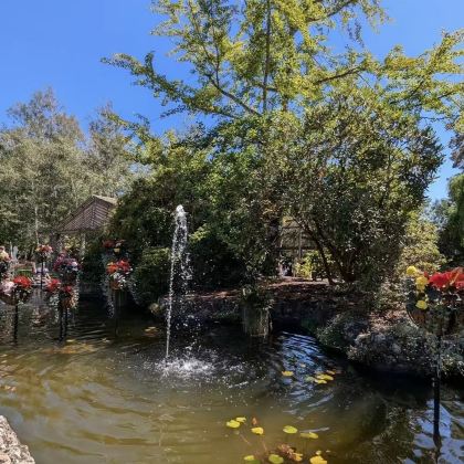 澳大利亚8日6晚私家团