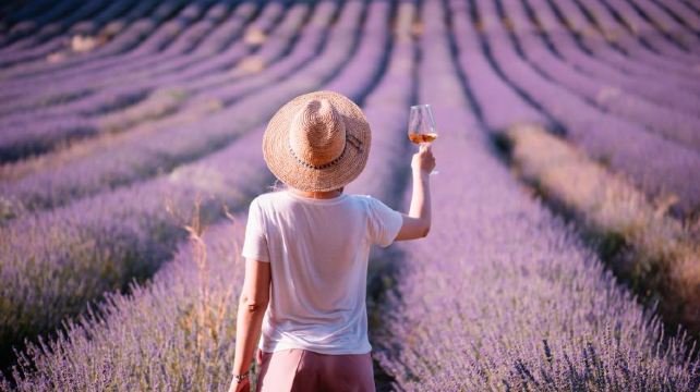 <10天>【欧洲环游·梦幻法瑞+意大利南法】·梦幻法瑞+意大利南法+巴黎集散+第戎圣母院+泉水小镇+阿维尼翁+圣十字湖大峡谷+日内瓦湖+万国宫+狮子纪念碑+米兰大教堂+贡多拉+罗马斗兽场+君士坦丁凯旋门+比萨斜塔+摩纳哥王宫