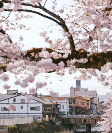 6D5N • Japan Nagoya + Kanazawa + Shirakawa-go + Hida      
