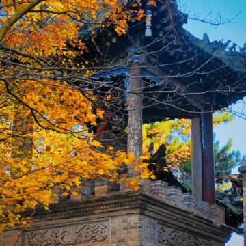 甘肃麦积山石窟+崆峒山4日3晚拼小团