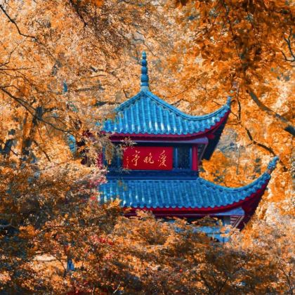 长沙+韶山+张家界+天门山+凤凰古城6日5晚拼小团