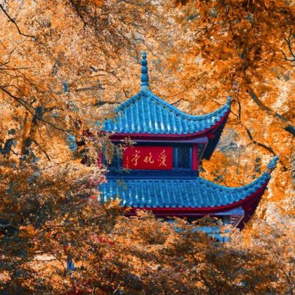长沙+韶山+张家界+天门山+凤凰古城6日5晚拼小团