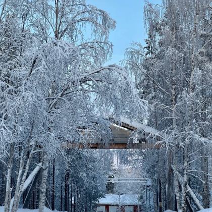 芬兰赫尔辛基+罗瓦涅米+凯米+拉努阿+萨尼色尔卡+爱沙尼亚塔林9日8晚私家团