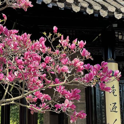 扬州+中国大运河博物馆+瘦西湖游船+个园3日2晚私家团