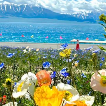 新疆乌鲁木齐+喀纳斯景区+禾木风景区12日11晚私家团