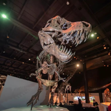 美国5日4晚私家团