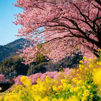 日本大阪5日4晚私家团