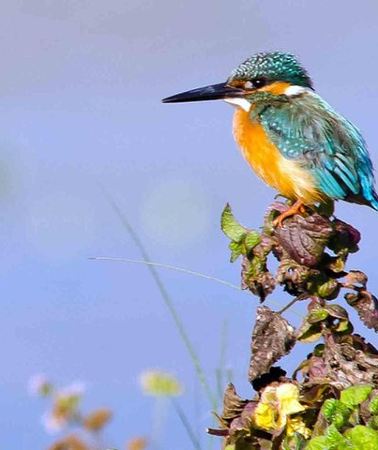 9D8N • Best of Nepal Luxury Adventure Tour Package - 9 Days