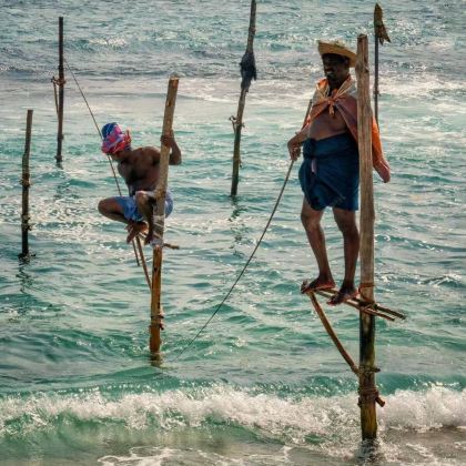 斯里兰卡7日5晚跟团游