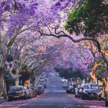 澳大利亚悉尼7日私家团