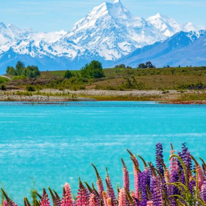 新西兰北岛+南岛环岛12日跟团游