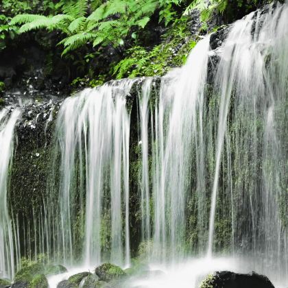 日本东京+日光市+轻井泽町5日4晚拼小团