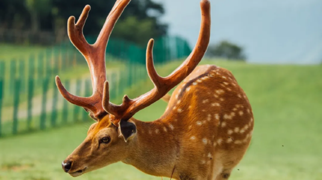 神农架、宜昌+2