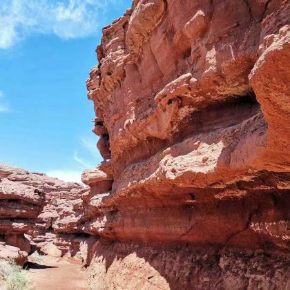 银川+阿拉善左旗+乌海5日4晚自由行