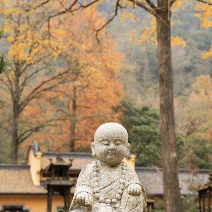 诸暨2日1晚私家团