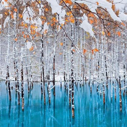 日本北海道5日4晚拼小团