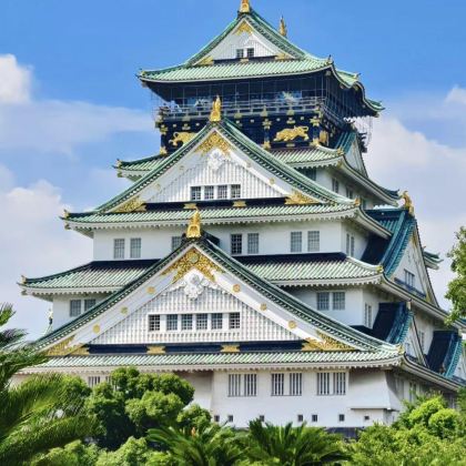 东京+大阪+京都+奈良市+富士山7日6晚拼小团