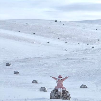 呼伦贝尔+满洲里+额尔古纳+阿尔山7日6晚自由行