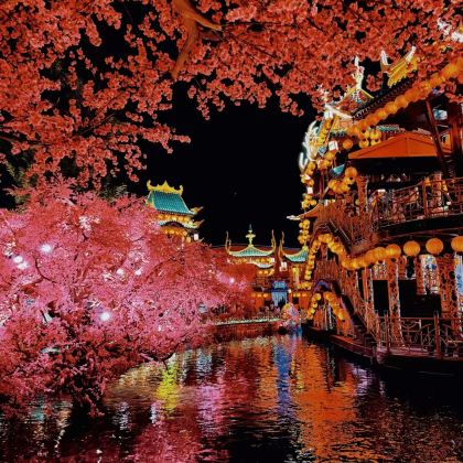 开封3日2晚私家团