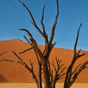 纳米比亚埃托沙国家公园+鲸湾港+纳米布沙漠+死亡谷9日8晚私家团