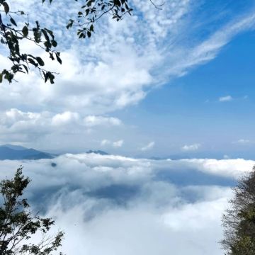 汉中6日5晚私家团