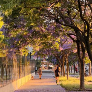 里约热内卢州+圣保罗州+伊瓜苏县+布宜诺斯艾利斯10日9晚私家团