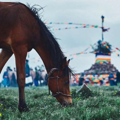秦皇岛+北戴河+承德+木兰围场+乌兰布统草原5日4晚私家团