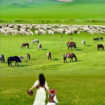 内蒙古呼和浩特+鄂尔多斯+包头+希拉穆仁草原+响沙湾6日5晚拼小团