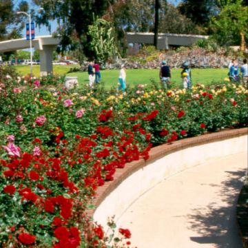 日内瓦+蒙特勒+伯尔尼+施皮茨+因特拉肯+少女峰+卢塞恩+苏黎世11日10晚拼小团