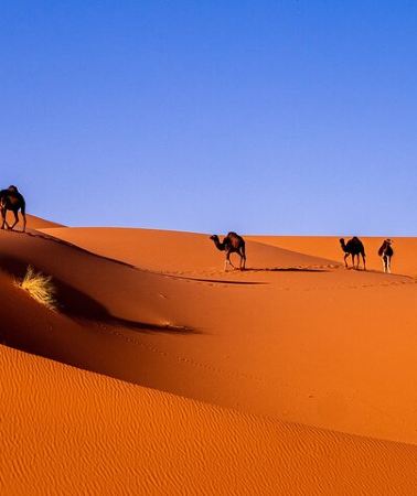3D2N • Private Desert Odyssey: Marrakech to Merzouga 3-Day Adventure