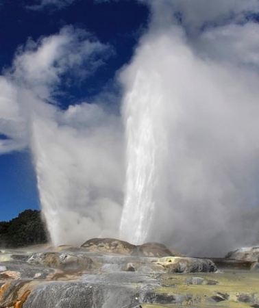 4D3N • 4Day/3Nights Wellington to Auckland Tour