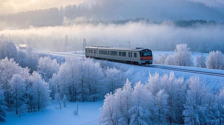 2-Day Mini group: Mohe, Arctic Village, Longjiang First Bay. Aurora sightseeing, reindeer contact. Get birch bark art free on inquiry, no shopping & warm lodging.