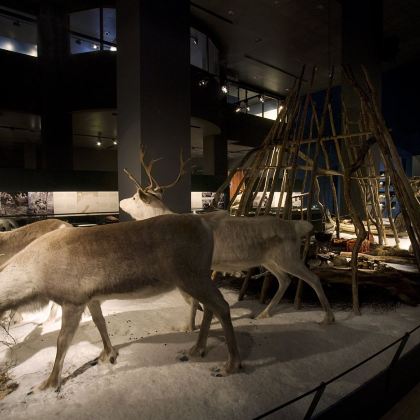 芬兰赫尔辛基+挪威12日10晚私家团