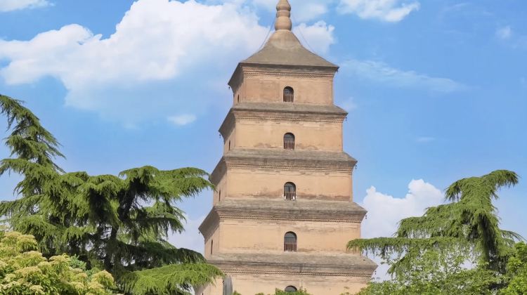 5-day 4-night · Private Tour · Xi'an City Wall + Emperor Qinshihuang's Mausoleum Site Museum + Huaqing Palace + Xi'an Museum + The Longest Day in Chang'an Theme Block