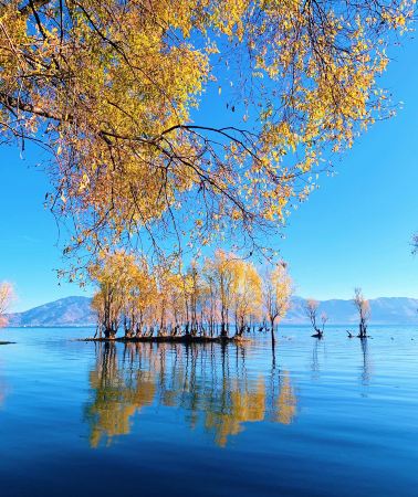 6D5N • Muslim-friendly: Kunming + Dali + Lijiang – Visit mosques + Complimentary prayer mat & portable ablution bottle + Halal Food Street + Yunnan's natural scenery + Family rooms available