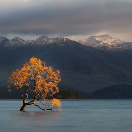新西兰奥克兰+罗托鲁瓦+基督城+皇后镇+特卡波湖+陶波湖+格林诺奇13日12晚拼小团