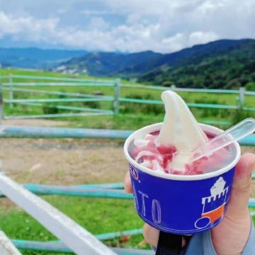 马来西亚吉隆坡+槟城+沙巴9日8晚私家团