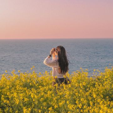 韩国济州岛5日4晚私家团