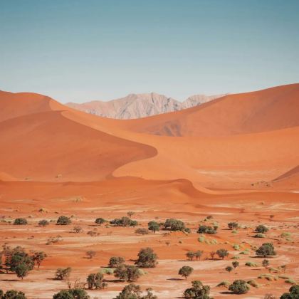 南非+纳米比亚+津巴布韦+赞比亚+博茨瓦纳20日17晚跟团游